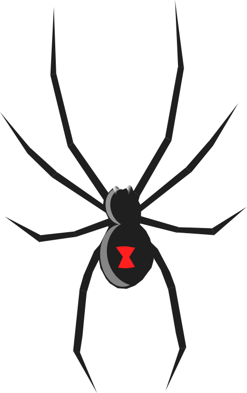 Spider  black and white spider clipart black and white free images 8