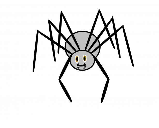Spider  black and white spider clipart