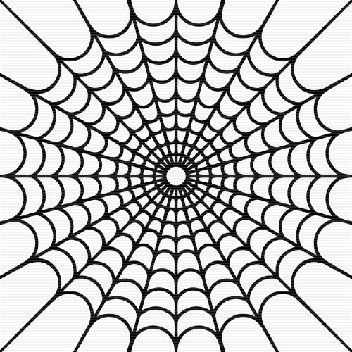 Spider  black and white spider webs and clip art on