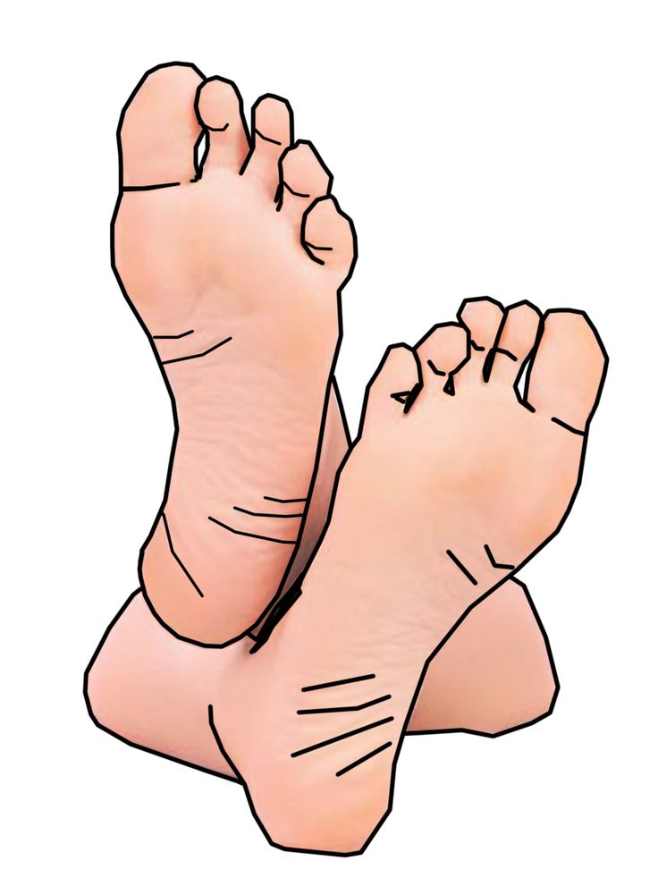 Walking feet walking clip art and pictures on
