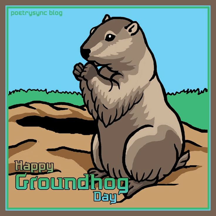 0 images about groundhog day on cartoon clip art