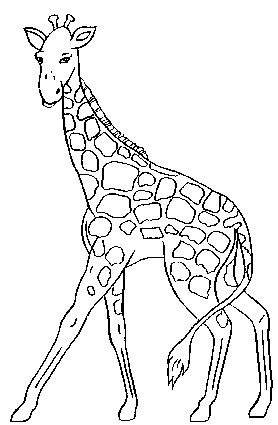 Baby giraffe clipart 4 clip art baby free 2 image