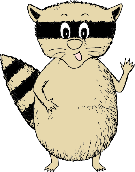 Baby raccoon clipart free images
