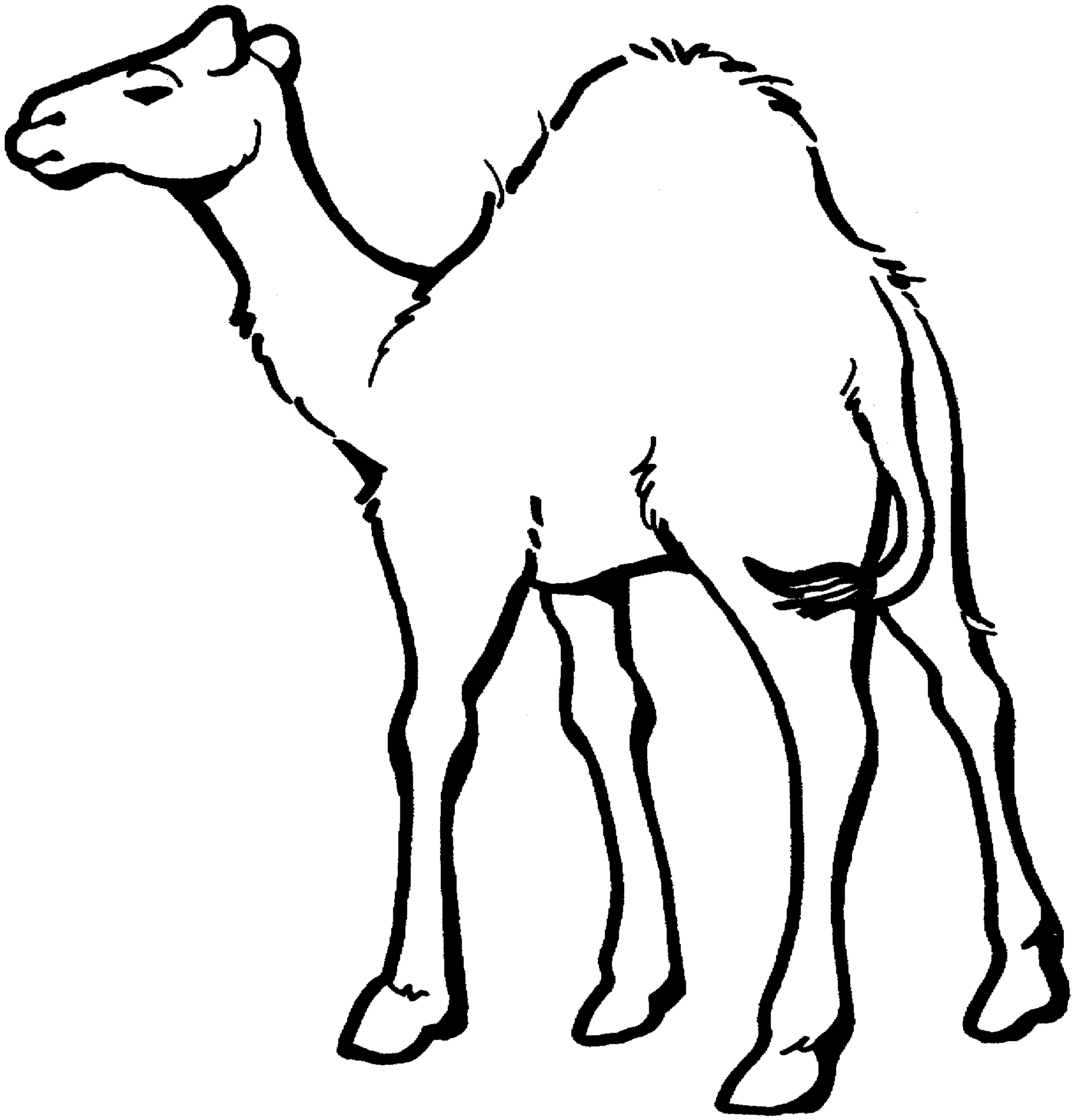 Camel clipart black and white free images 2