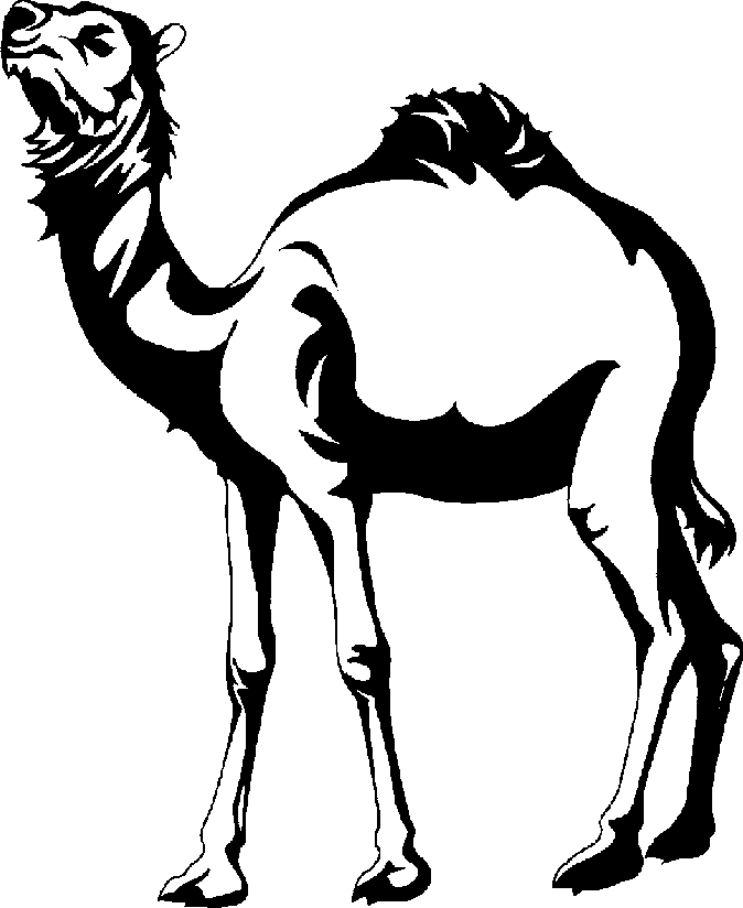Camel clipart black and white free images 4