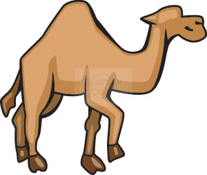 Camel large size clipart