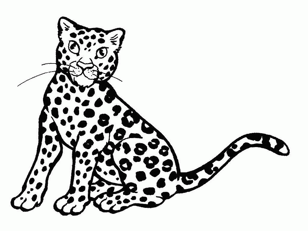 Cartoon cheetah clipart images illustrations photos