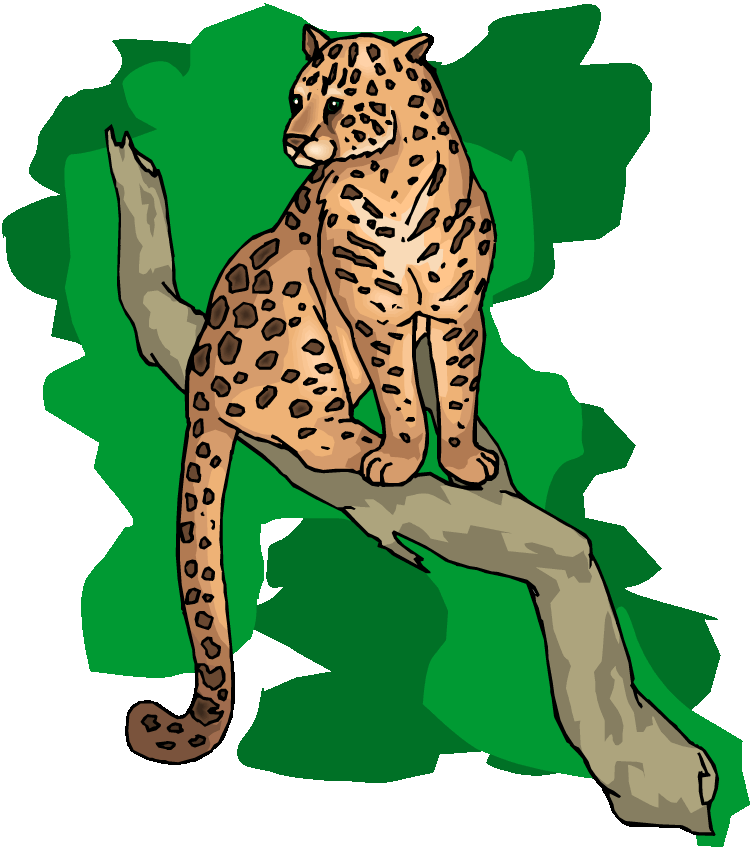 Cheetah clip art vector graphics