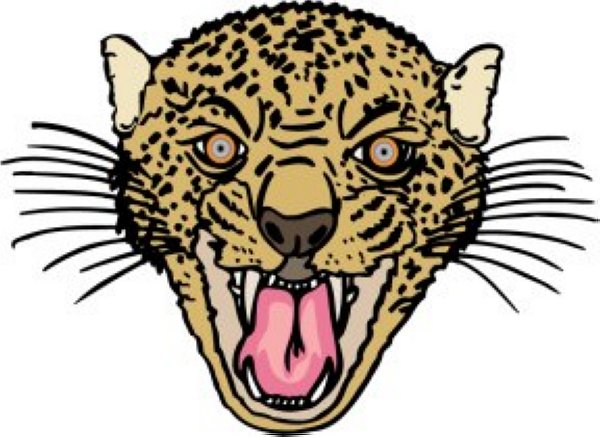 Cheetah clipart cheetah 3