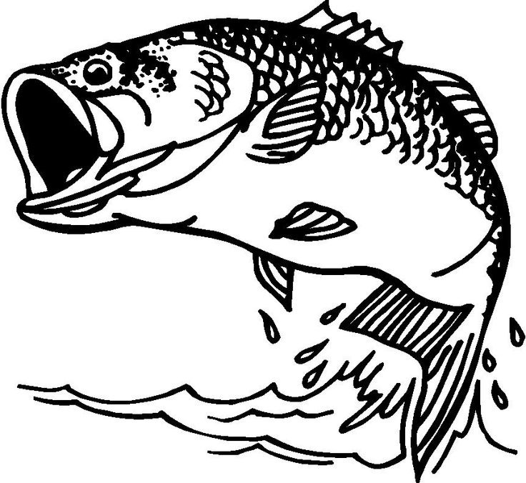 Christmas bass fishing clipart clipartfest