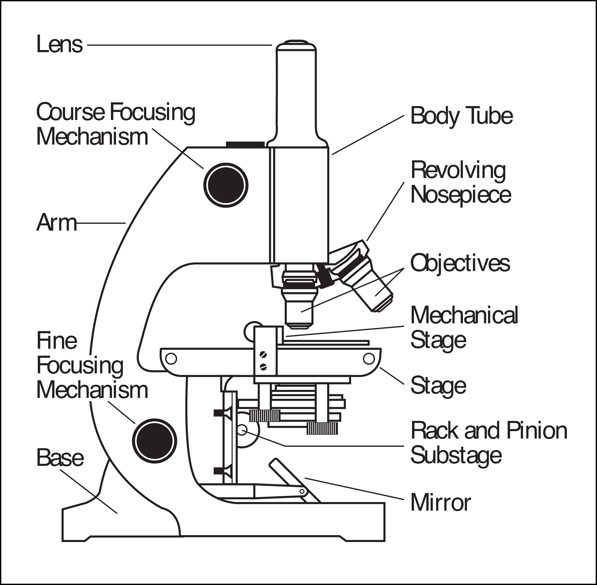 Clipart microscope parts labeled