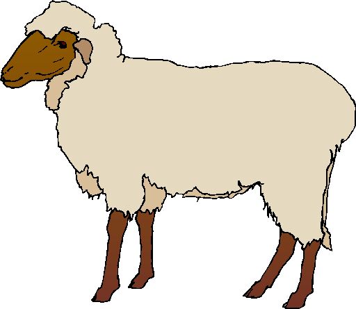 Counting sheep clipart free images