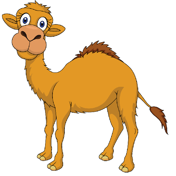 Cute camel clipart funny pictures 2