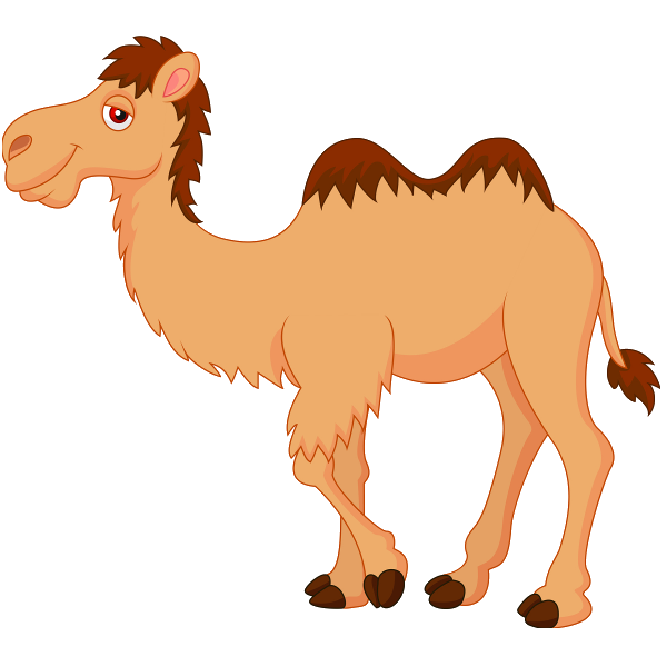 Cute camel clipart funny pictures