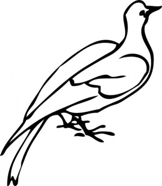 Dove clipart free templates images