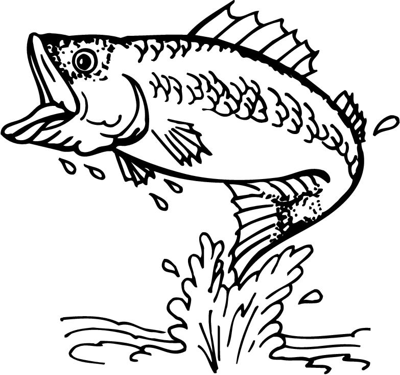 Fishing clipart on clip art fishing and fish 2 4