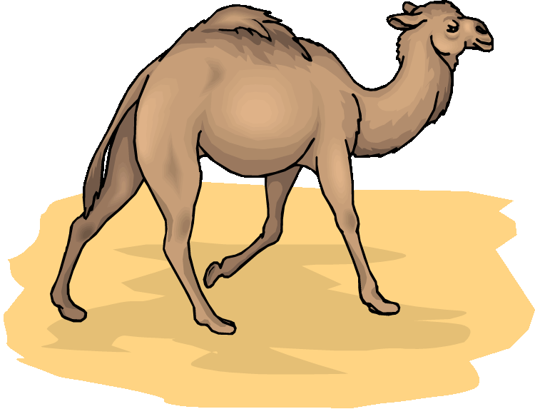 Free camel clipart 4