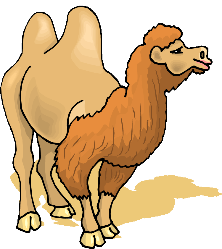 Free camel clipart 5