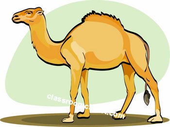 Free camel clipart clip art pictures graphics illustrations 2 2