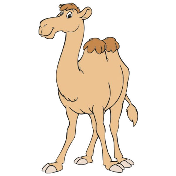 Funny camel clipart pictures 2