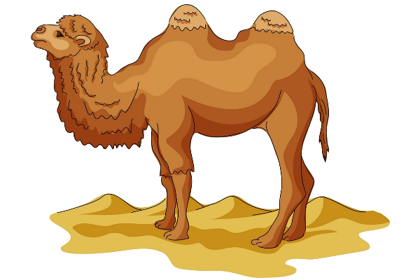 Funny camel pictures clipart 2