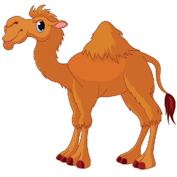 Funny camel pictures clipart