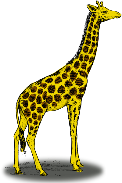 Giraffe free to use clip art