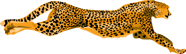 Ha flosse leopard cheetah clip art animal download vector clip