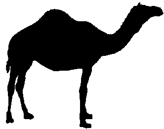 Hump day camel clipart