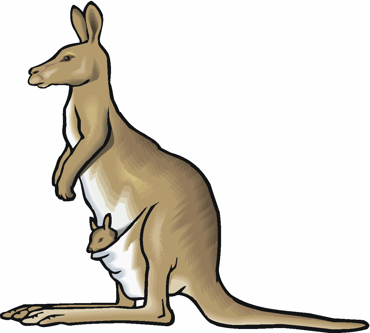 Kangaroo clip art free clipart images 3