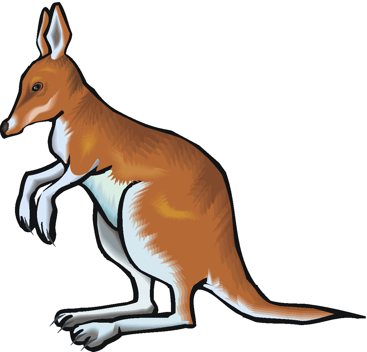 Kangaroo clipart 4