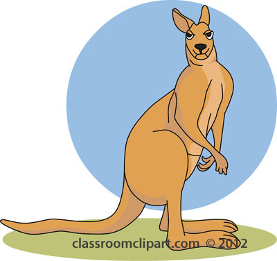 Kangaroo clipart 7