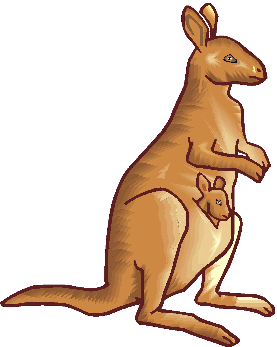 Kangaroo clipart free images
