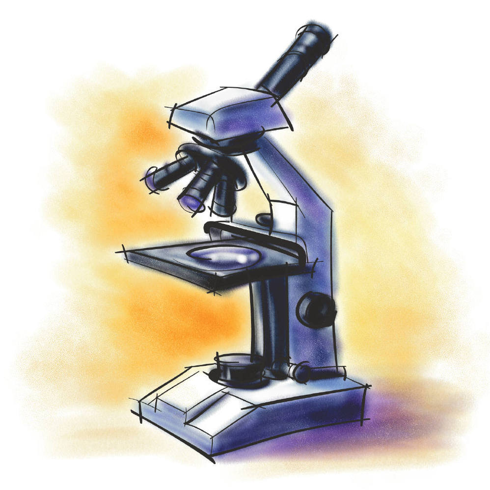 Labeling apound light microscope clipart free to use clip