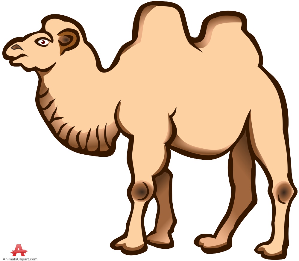Large camel clipart free design download