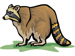 Raccoon clip art pictures free clipart images 2 2
