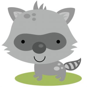 Raccoon clipart raccoon