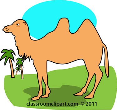 Search results for camel clipart pictures