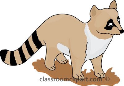 Search results for raccoon clipart pictures