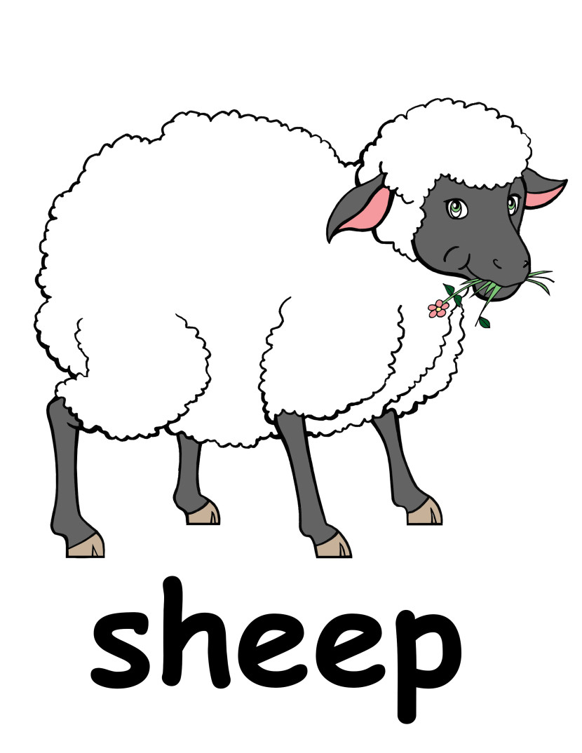 Sheep clipart 2