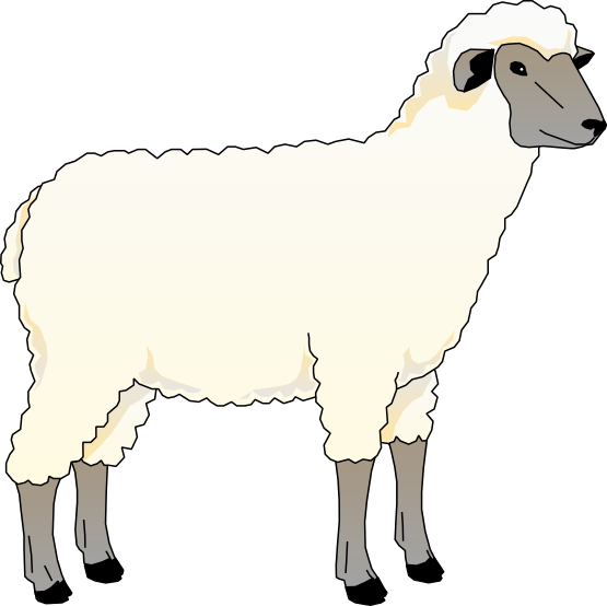Sheep free to use clipart 3