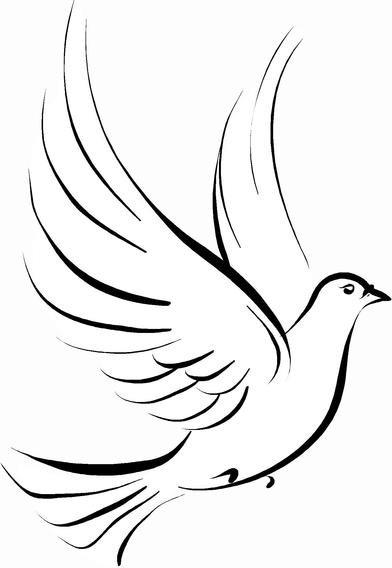 White dove free clipart