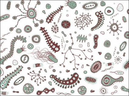 Bacteria clip art download clip arts page 1