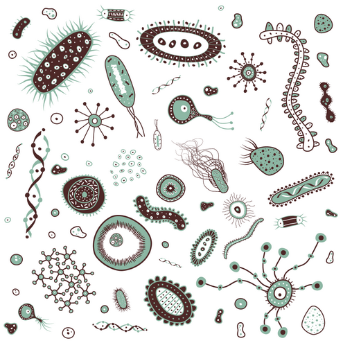 Bacteria clipart free images 4
