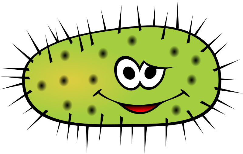Bacteria clipart free images