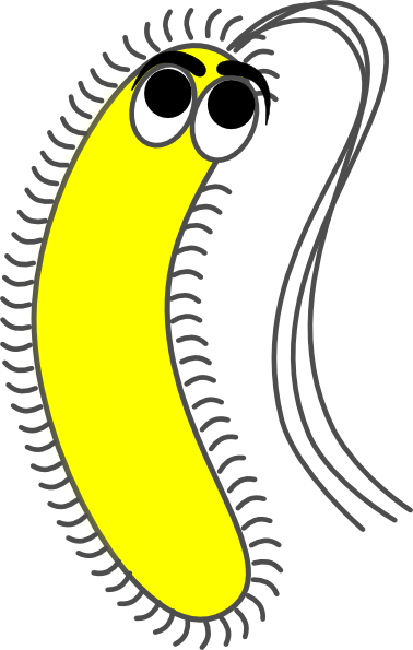Bacteria yellow funny clip art at vector clip art