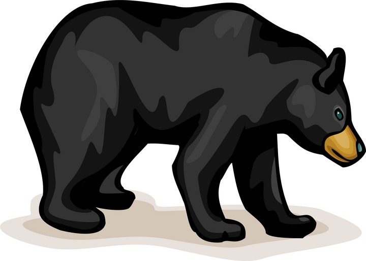 Bear  black and white black bear clip art pdxkurt