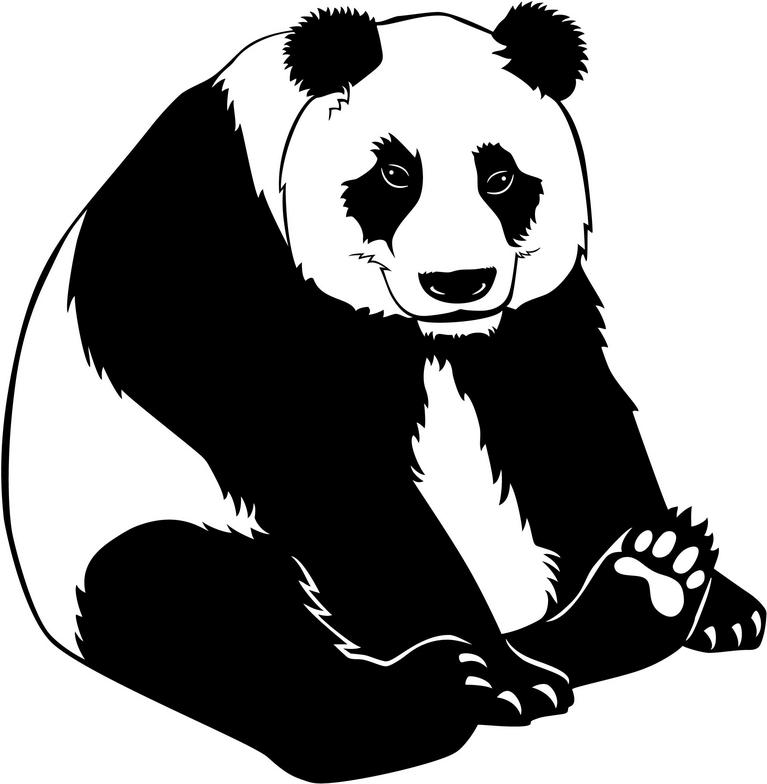 Bear  black and white cute panda clipart black and white clipartfox