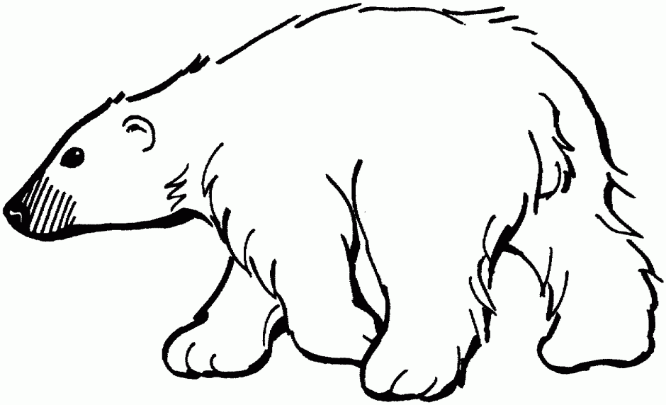 Bear  black and white polar bears cartoon free download clip art on