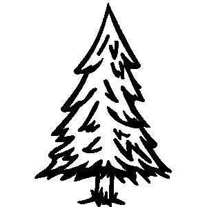Christmas tree  black and white evergreen trees clipart black and white 2